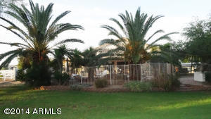 21180 E Orchard Ln, Queen Creek, AZ 85142 photo 15