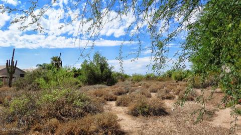 4575 E Ramuda Dr, Phoenix, AZ 85050 photo 20