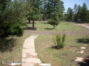 2189 Rim View Trl, Overgaard, AZ 85933 photo 13
