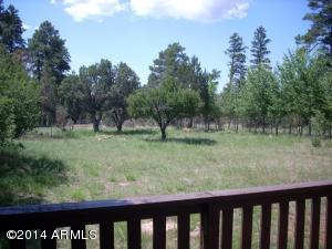 2189 Rim View Trl, Overgaard, AZ 85933 photo 4