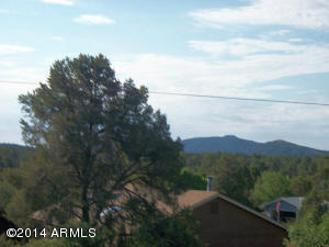 601 W St Moritz Dr, Payson, AZ 85541 photo 17