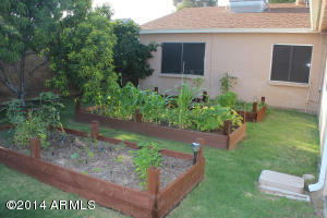 2227 E Monte Cristo Ave, Phoenix, AZ 85022 photo 47