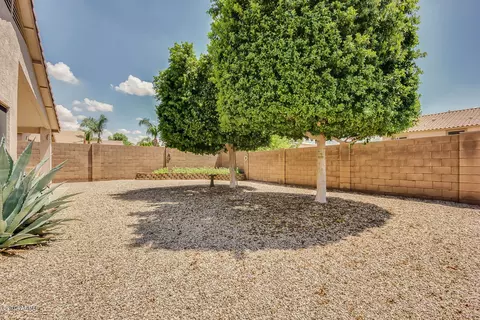 9065 E Hillview Cir, Mesa, AZ 85207 photo 33