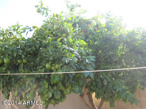 17632 N 45th St, Phoenix, AZ 85032 photo 21