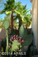 2106 E Saltsage Dr, Phoenix, AZ 85048 photo 21
