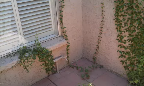 4035 E Columbine Dr, Phoenix, AZ 85032 photo 24