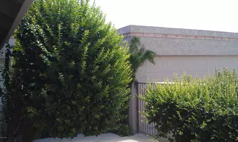 4035 E Columbine Dr, Phoenix, AZ 85032 photo 7
