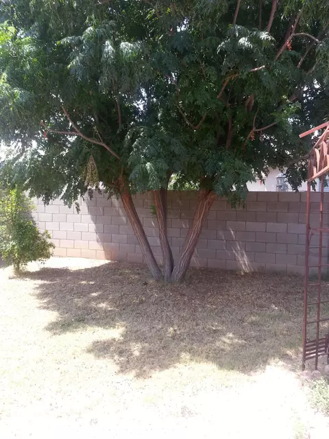 724 E Roberts Ave, Buckeye, AZ 85326 photo 6
