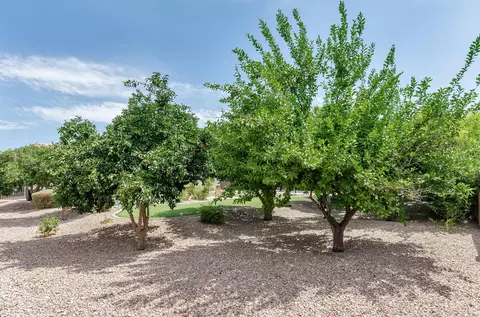 4051 E Fairfield St, Mesa, AZ 85205 photo 35