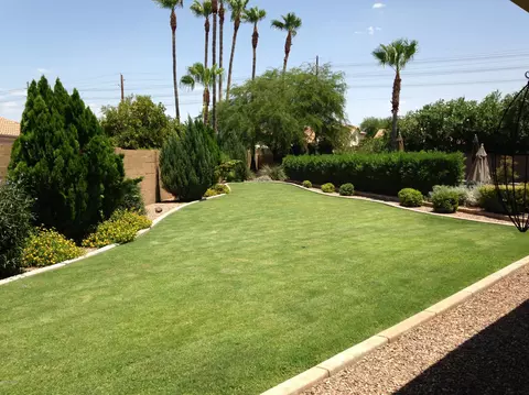 950 Encinas Ave, Gilbert, AZ 85234 photo 28