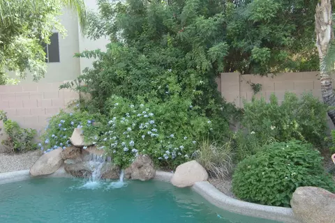 601 W Gary Ct, Gilbert, AZ 85233 photo 67