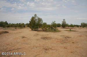 25337 E Chaplain Ln, Florence, AZ 85132 photo 41