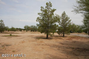 25337 E Chaplain Ln, Florence, AZ 85132 photo 42