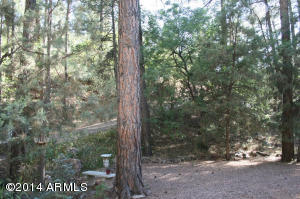 6414 W Sharyn Rd, Pine, AZ 85544 photo 20