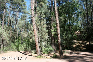 6414 W Sharyn Rd, Pine, AZ 85544 photo 19