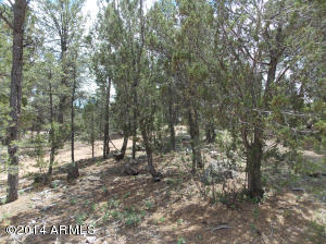 3159 Trails End --, Overgaard, AZ 85933 photo 8