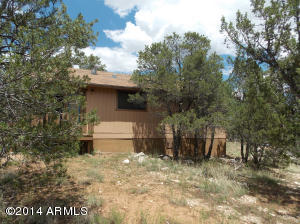 3159 Trails End --, Overgaard, AZ 85933 photo 4