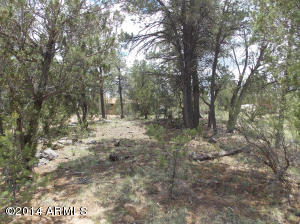 3159 Trails End --, Overgaard, AZ 85933 photo 7