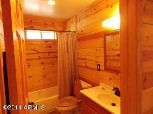 3159 Trails End --, Overgaard, AZ 85933 photo 12