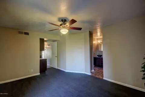 2903 S Spruce Ave, Mesa, AZ 85210 photo 43