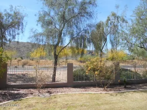 1117 E Milada Dr, Phoenix, AZ 85042 photo 21