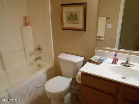 1117 E Milada Dr, Phoenix, AZ 85042 photo 14
