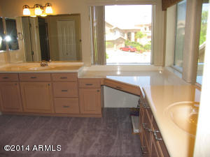 1555 E Crocus Dr, Phoenix, AZ 85022 photo 17