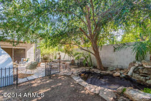 2548 Estrella St, Gilbert, AZ 85296 photo 27