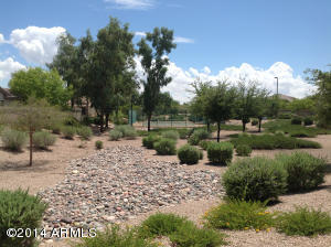 4320 E Shannon St, Gilbert, AZ 85295 photo 5