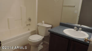 209 E Milada Dr, Phoenix, AZ 85042 photo 12