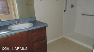 209 E Milada Dr, Phoenix, AZ 85042 photo 9