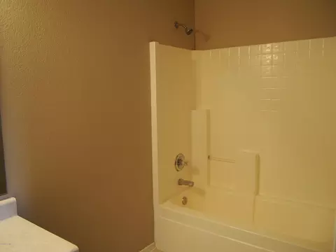 117 E Milada Dr, Phoenix, AZ 85042 photo 16