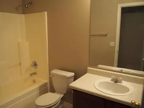 117 E Milada Dr, Phoenix, AZ 85042 photo 10