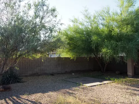 117 E Milada Dr, Phoenix, AZ 85042 photo 21