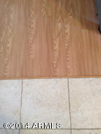 1025 W Kaniksu St, Apache Junction, AZ 85120 photo 11
