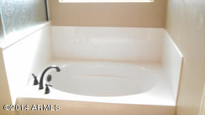 3919 E Rakestraw Ln, Gilbert, AZ 85298 photo 9