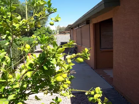 4356 E Carmel Cir, Mesa, AZ 85206 photo 13