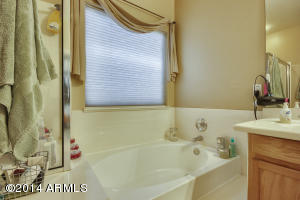 9765 E Monte Ave, Mesa, AZ 85209 photo 30