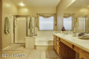 9765 E Monte Ave, Mesa, AZ 85209 photo 27
