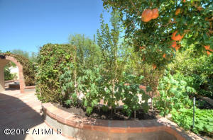 16615 S 17th Dr, Phoenix, AZ 85045 photo 32