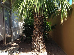 7750 E Broadway Rd #13, Mesa, AZ 85208 photo 20