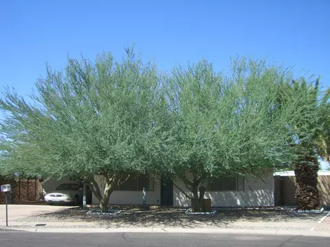 412 S 113th Pl, Mesa, AZ 85208 photo 1