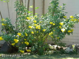 4645 E Osborn Rd, Phoenix, AZ 85018 photo 12