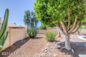 7147 E Lobo Ave, Mesa, AZ 85209 photo 29