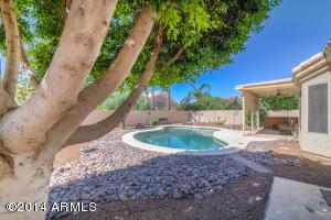7147 E Lobo Ave, Mesa, AZ 85209 photo 23