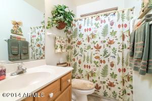 7147 E Lobo Ave, Mesa, AZ 85209 photo 11