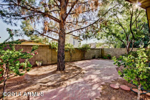 4151 E Contessa St, Mesa, AZ 85205 photo 21
