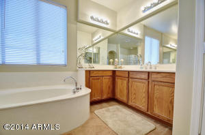 10811 E Renata Cir, Mesa, AZ 85212 photo 37