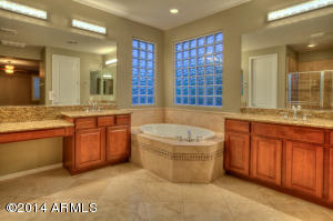 3945 E Half Hitch Pl, Phoenix, AZ 85050 photo 5