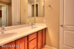 3945 E Half Hitch Pl, Phoenix, AZ 85050 photo 24